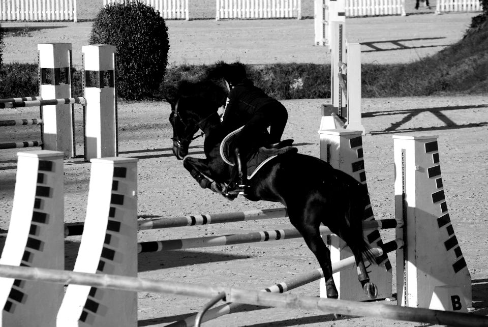 Maître Camille Charles en compétition équestre — concours complet national